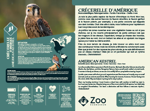0958-EMU-Educative-AigleRoyal-24x18.indd