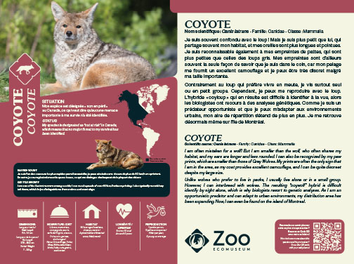 0958-EMU-Educative-AigleRoyal-24x18.indd
