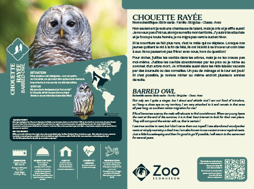 0958-EMU-Educative-AigleRoyal-24x18.indd