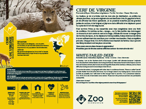 0958-EMU-Educative-AigleRoyal-24x18.indd