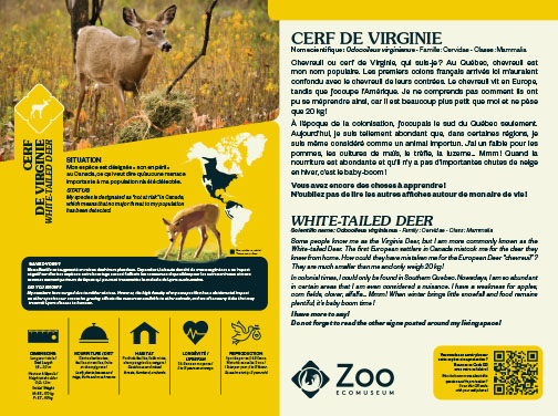 0958-EMU-Educative-AigleRoyal-24x18.indd