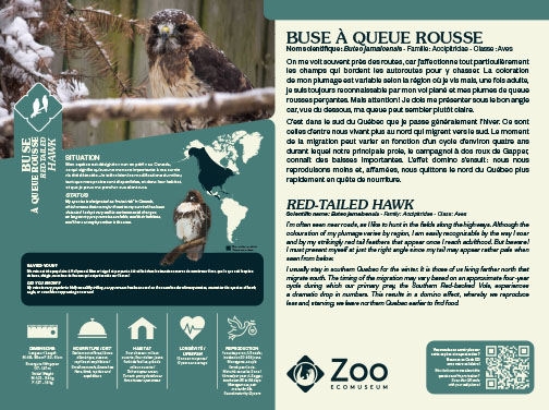 0958-EMU-Educative-AigleRoyal-24x18.indd