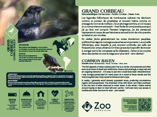 0958-EMU-Educative-AigleRoyal-24x18.indd
