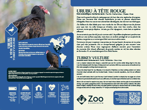0958-EMU-Educative-AigleRoyal-24x18.indd