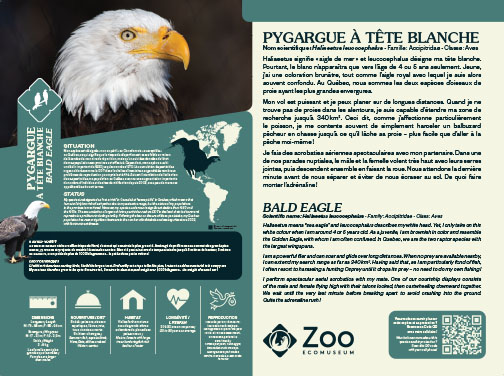 0958-EMU-Educative-AigleRoyal-24x18.indd