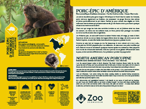 0958-EMU-Educative-AigleRoyal-24x18.indd