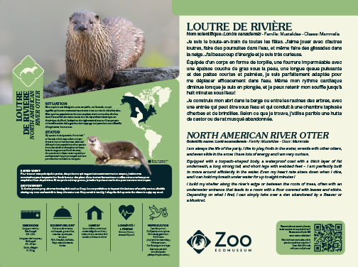 0958-EMU-Educative-AigleRoyal-24x18.indd