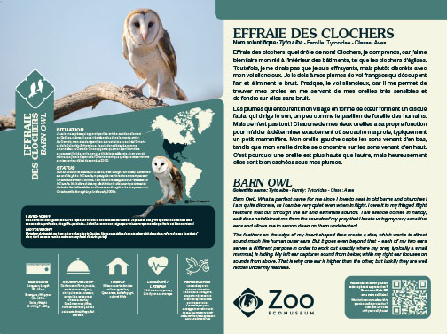 0958-EMU-Educative-AigleRoyal-24x18.indd