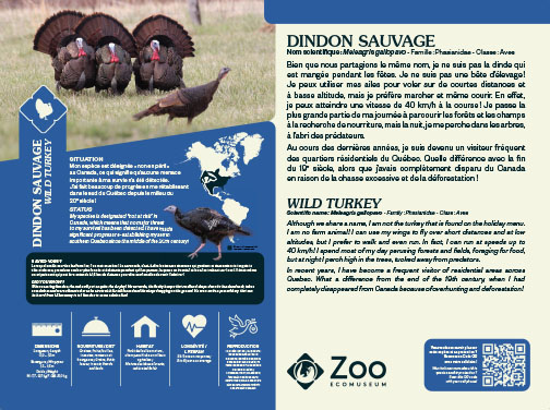 0958-EMU-Educative-AigleRoyal-24x18.indd