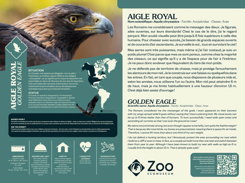 0958-EMU-Educative-AigleRoyal-24x18
