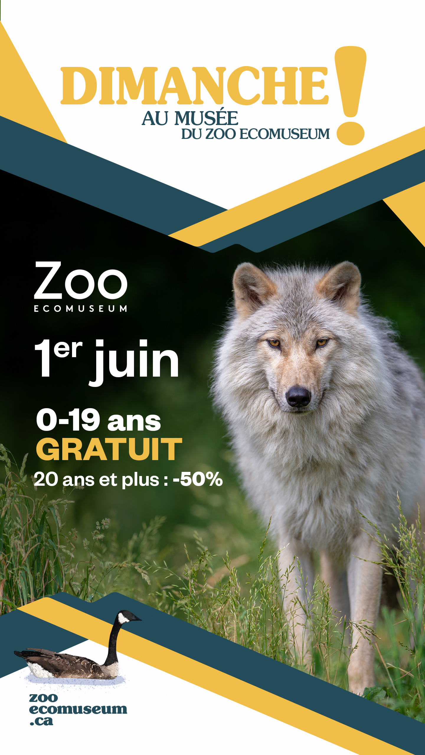 0995-29-EMU-DimancheMusee-IG-Storie-2025-1440x2560px-A
