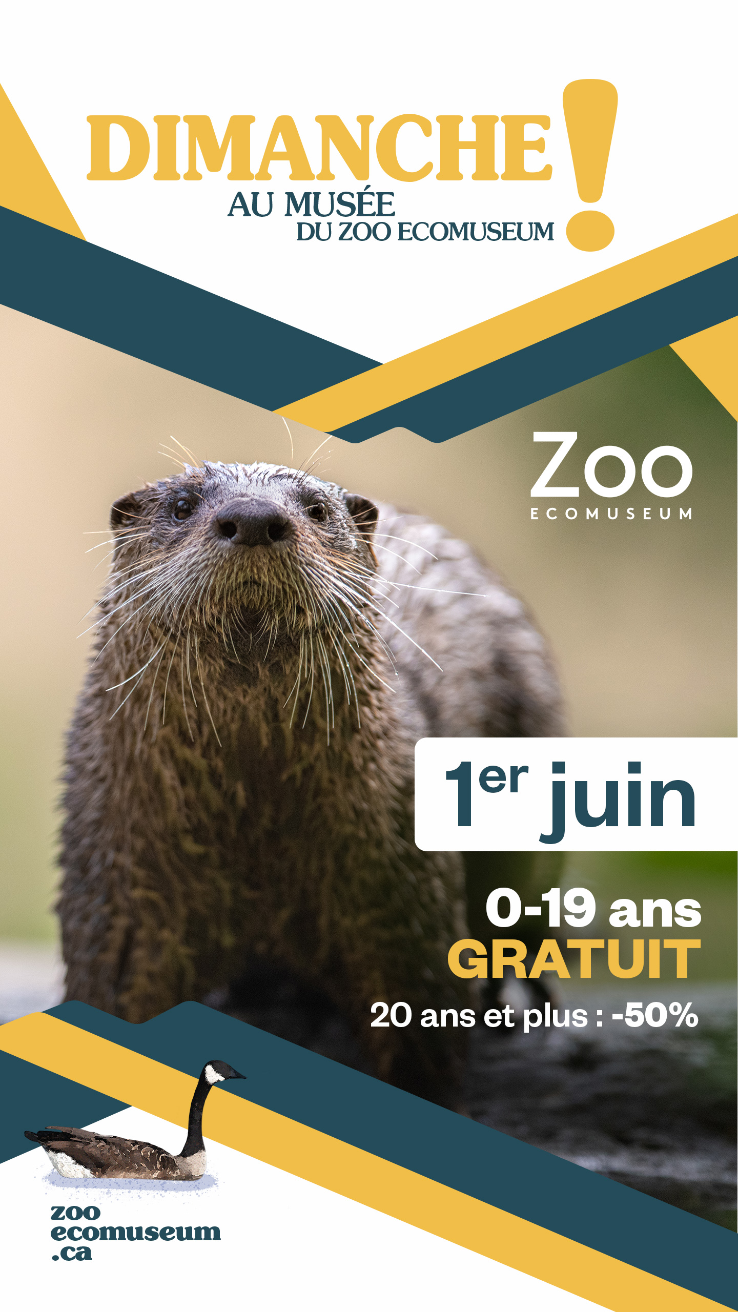 0995-29-EMU-DimancheMusee-IG-Storie-2025-1440x2560px-B