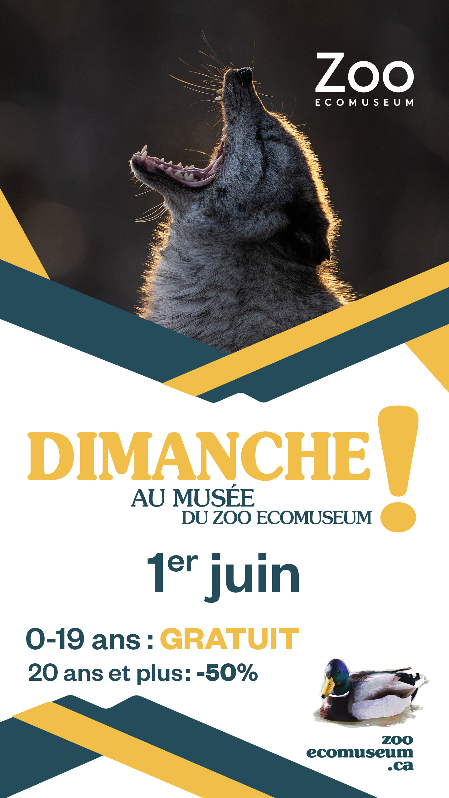 0995-29-EMU-DimancheMusee-IG-Storie-2025-1440x2560px-C